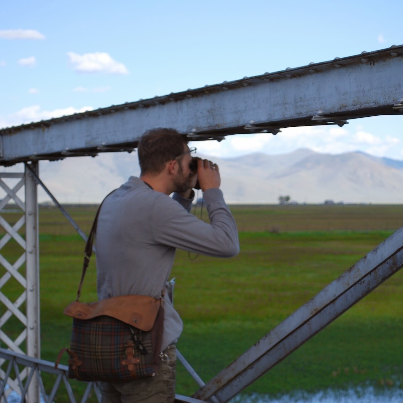 Evening Birding at Steel Bridge - logo